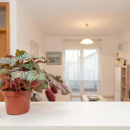 Valter Apartment Zadar