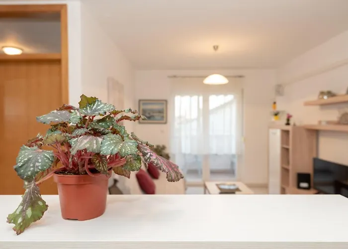 Valter Lejlighed Zadar